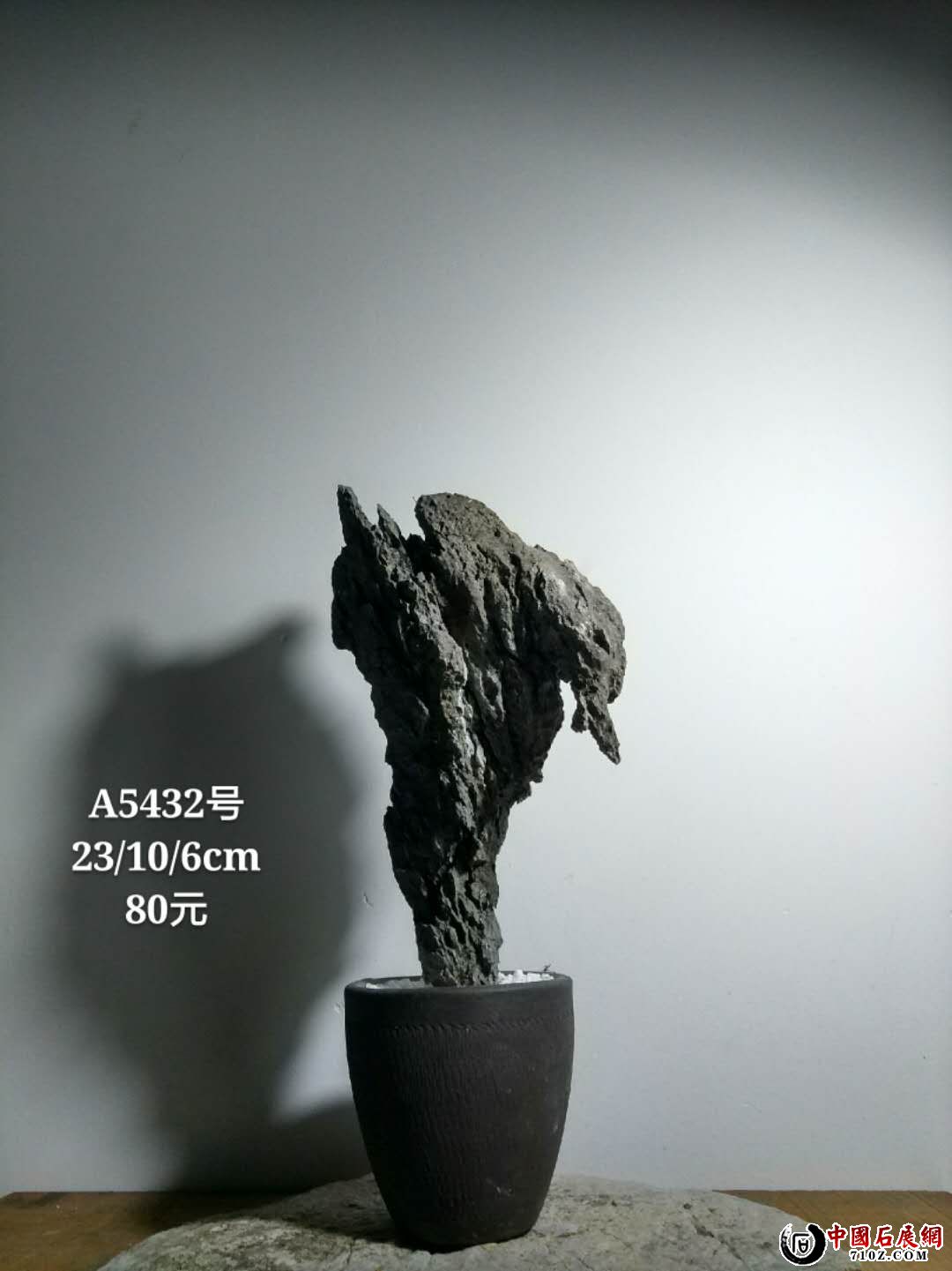 a5432.jpg