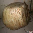 新疆80kg玉化原石