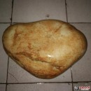 新疆7.8kg玉化原石