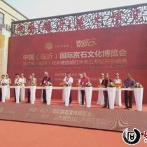 2020中国（临沂）观赏文化石博览会开幕 奇石斗艳引市民关注