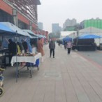 [2026.4.11][�ӱ���ʯ��ׯ]����ʯ��ׯ��ʢ