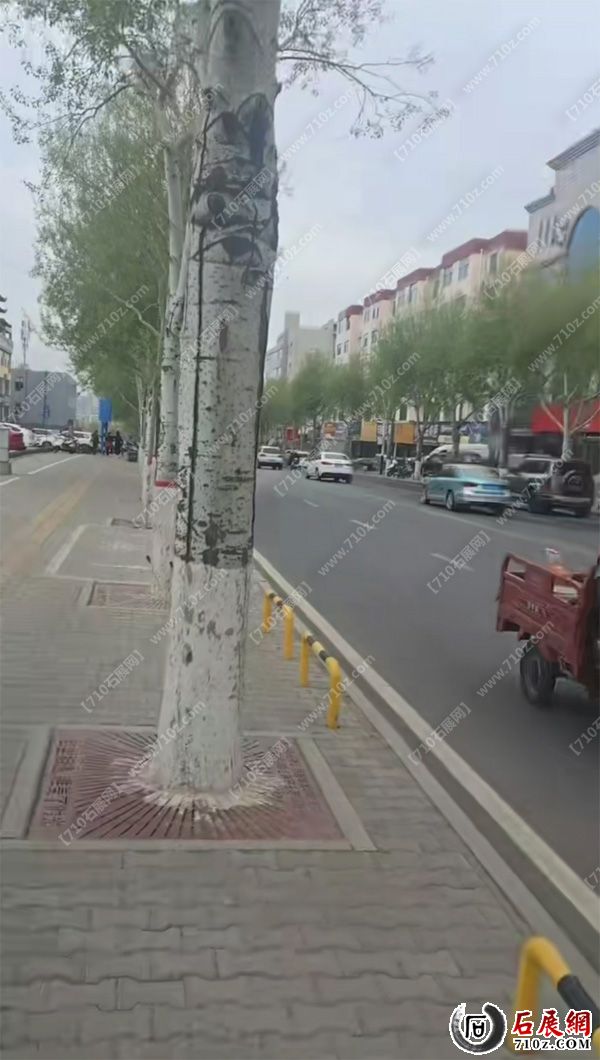 QQ_1776143660469.jpg